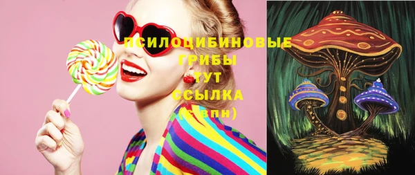 PSILOCYBIN Ступино