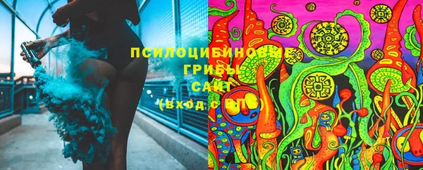 стаф Балахна